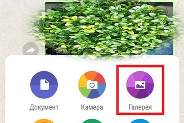Кракен даркнет скачать