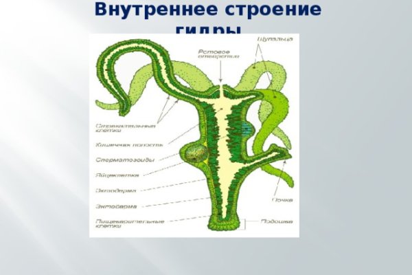 Кракен офф сайт
