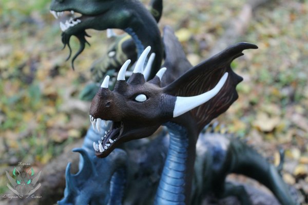 Kraken official
