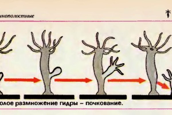 Кракен найти сайт