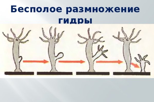 Кракен зеркало впн