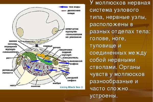 Кракен ссылка список